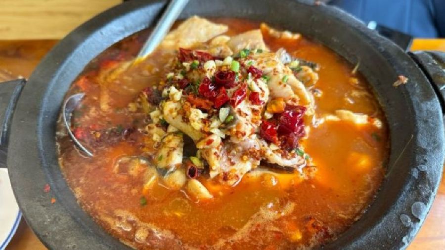 Tuo jiang River Fishing King