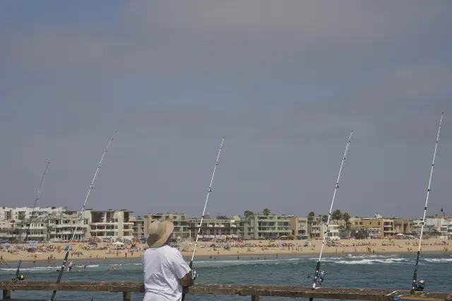 Sea Angling in Los Angeles