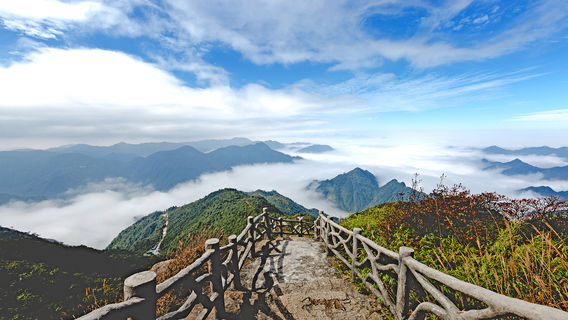 Nghi Chương