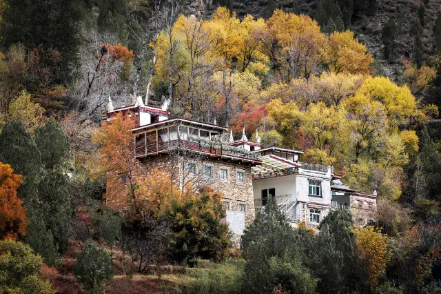 Tibetan Village Viewing in Danba