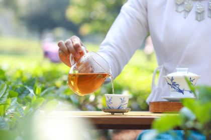 澜沧景迈柏联酒店·中餐厅