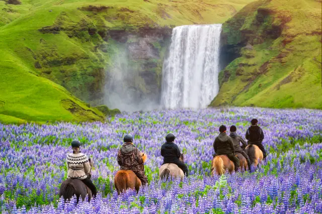 Horse Riding in Iceland