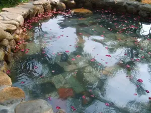 奇村溫泉