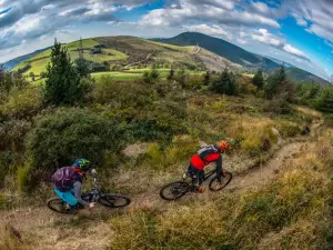 Afan Forest Mountain Bike Trails