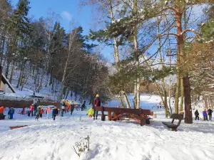 Łysa Góra 110 m n.p.m.