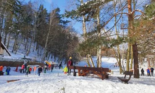 Łysa Góra 110 m n.p.m.