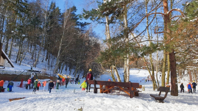 Łysa Góra 110 m n.p.m.