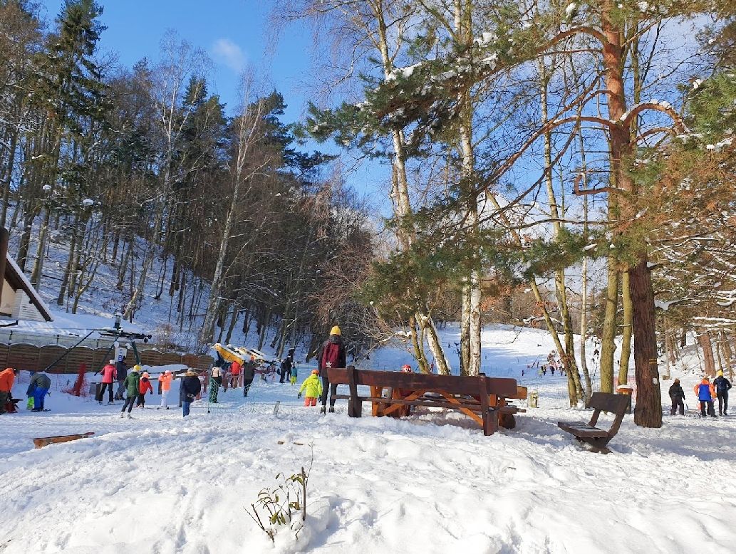 Łysa Góra 110 m n.p.m.