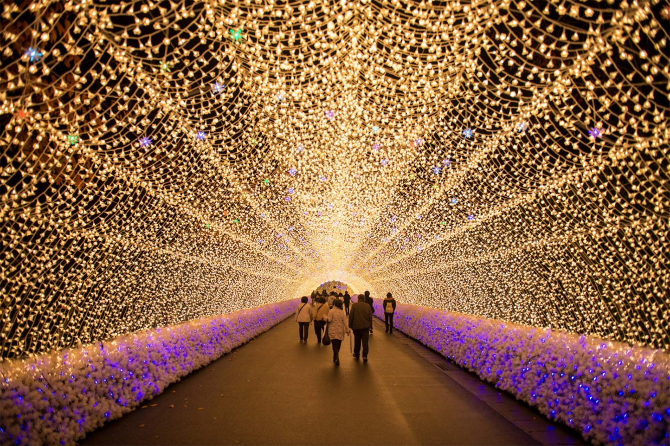 Nabananosato  Illumination 2025-2026 | Kuwana