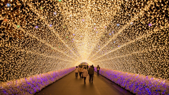 Nabananosato Illumination 2025-2026