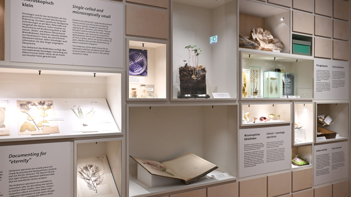 TWO VIEWS ON PLANTS 3D Photography by Sebastian Cramer | Museum of Natural History Vienna