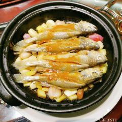 Yazhudajiulou·xiamenlaozihao (lvlinglu) User Photo