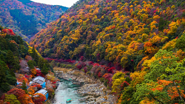 Arashiyama Park Nakanoshima Area