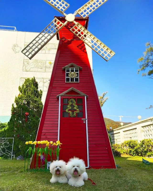 【寵物酒店邊間好?】2026人寵不分離,盤點那些寵物友好酒店:香港13間寵物酒店 Staycation 推介🐶+住宿餐飲優惠