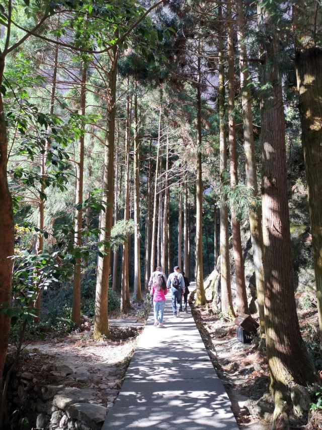 옌당산(안탕산)
