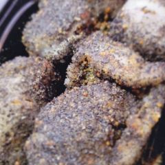 Yeshi Fried Glutinous Pudding User Photo