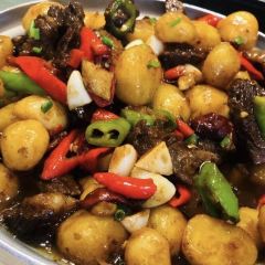 鱼乐香村 User Photo