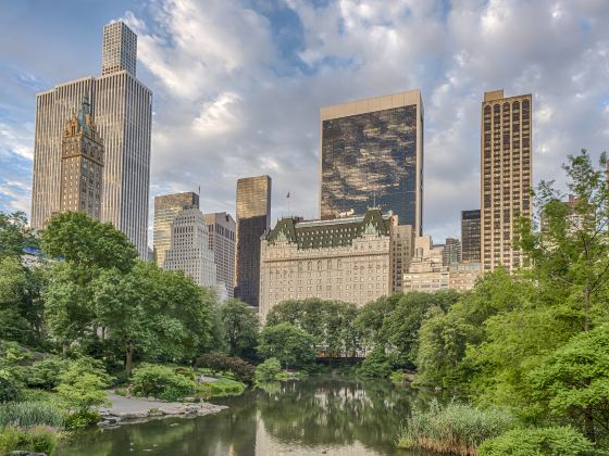 Central Park Zoo