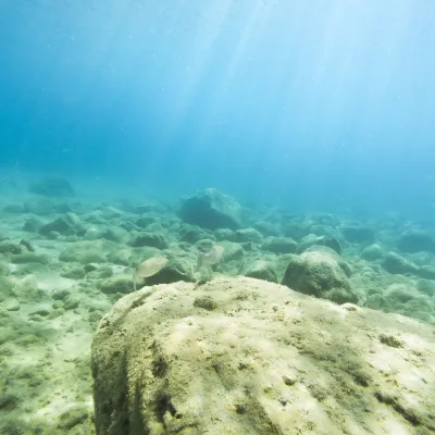 呉のくらはし桂浜温泉館周辺のホテル