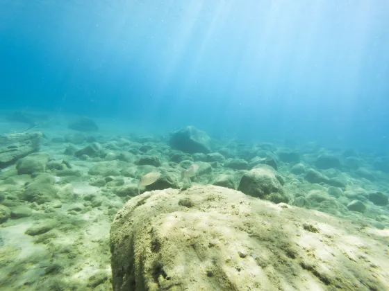 石垣島 飛 與那國町