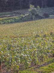 Colorful Xiangyun Happy Farm