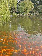 Parque Manito y Jardín Botánico