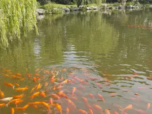 Parque Manito y Jardín Botánico