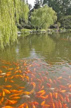 욘 A. 핀치 아버리텀 주변 호텔