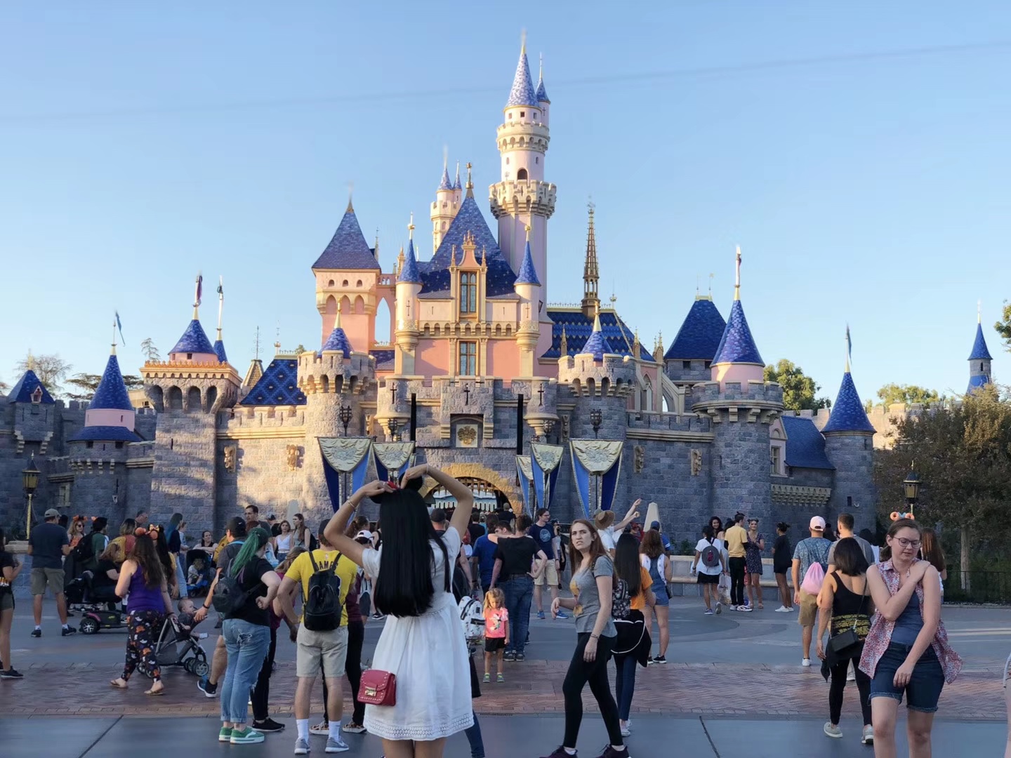 アナハイム ディズニーランド パーク 評判 案内 トリップドットコム
