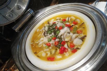 WU TONG SHU JIA RI JIU DIAN HUAN DAO CAN TING