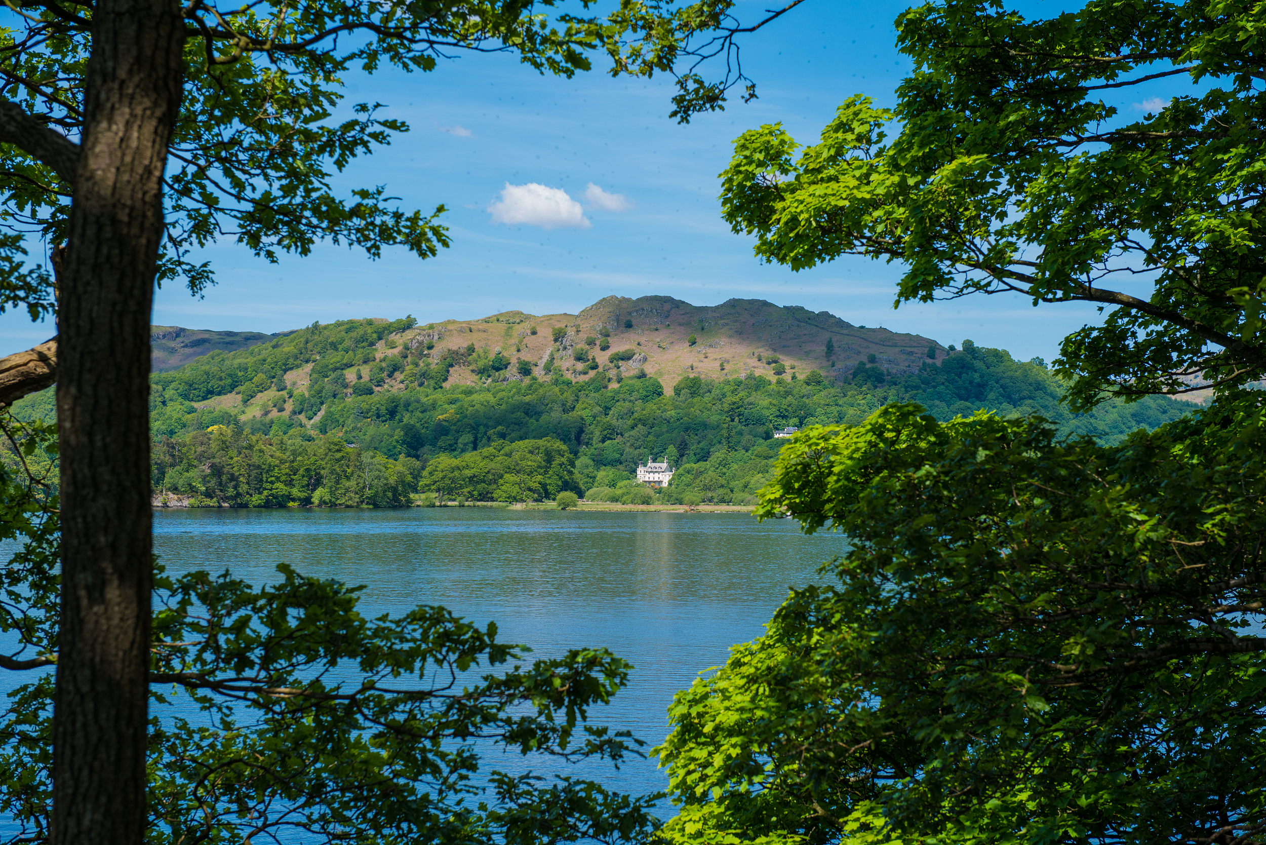 2025 Windermere Travel Guide: Must-see attractions, popular food, hotels, transportation routes (updated in July)