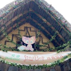 Tribal Table User Photo