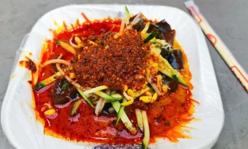 QING SHAN NIANG PI