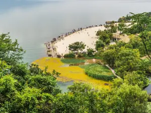 Golden Scale Beach