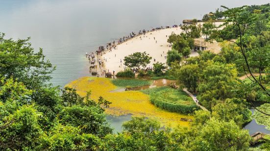 Golden Scale Beach