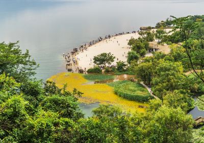 Golden Scale Beach