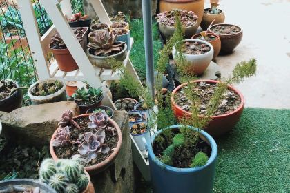 胡氏农家小院柴火鸡