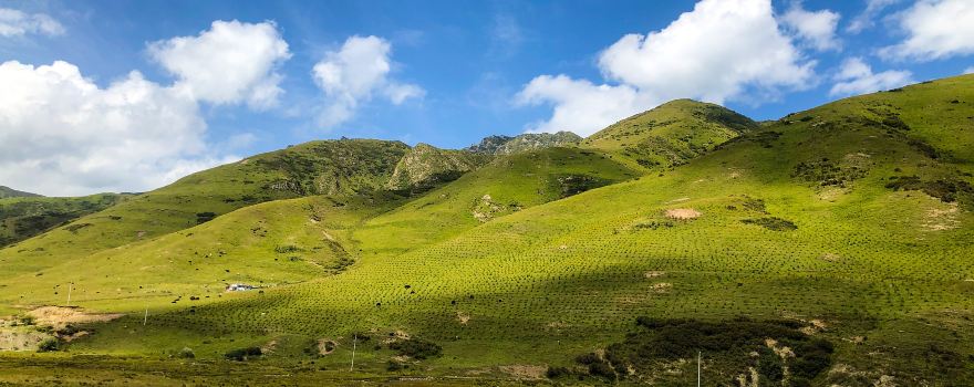 Longxi Weihe Ecological Scenery Park Shuanglongkou Scenic Spot