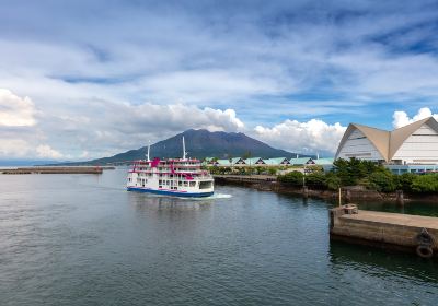 Kagoshima City Aquarium