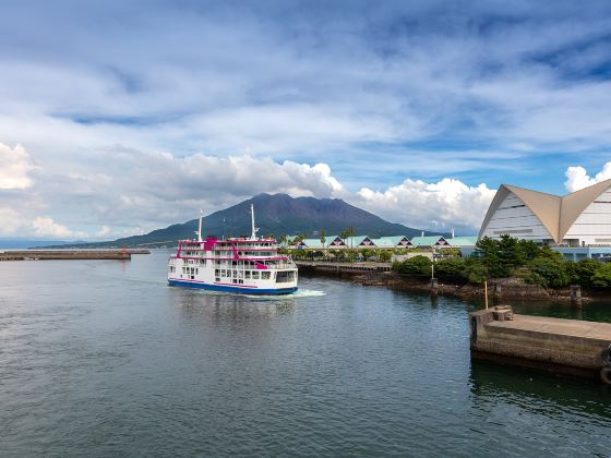 Kagoshima City Aquarium