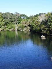 Western Springs Lakeside Park