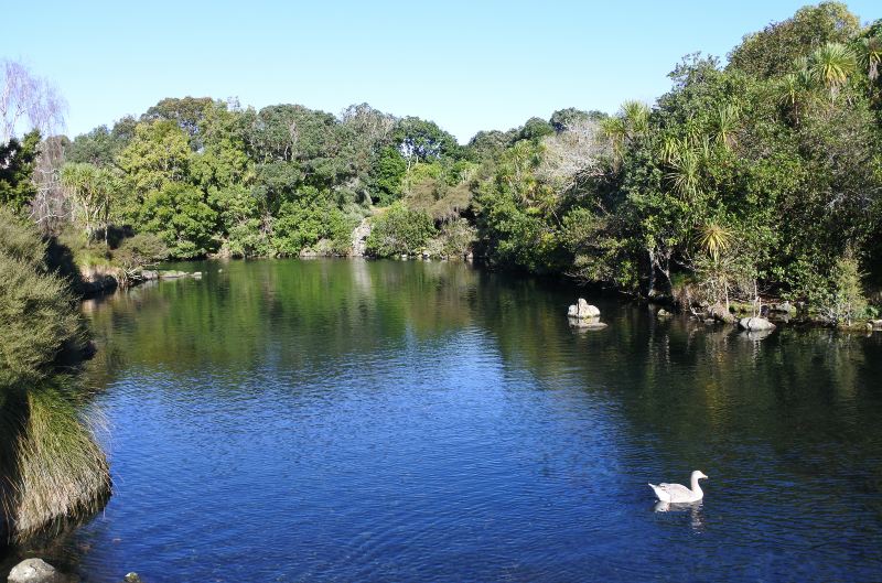 Western Springs Lakeside Park