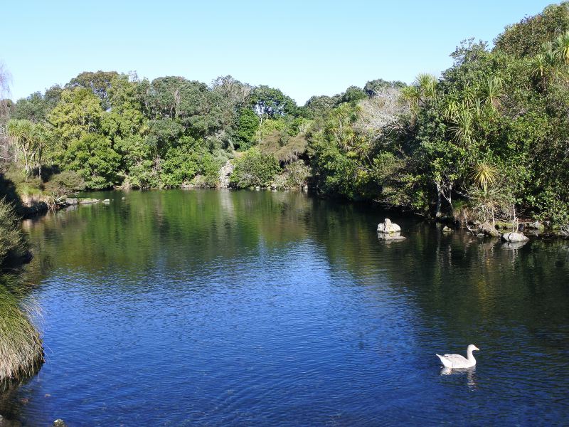 Western Springs Lakeside Park