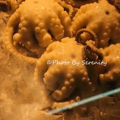 铭聚章鱼土笋冻(松柏店) User Photo