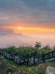 阿里山隙頂雲海