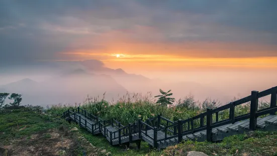 阿里山隙頂雲海