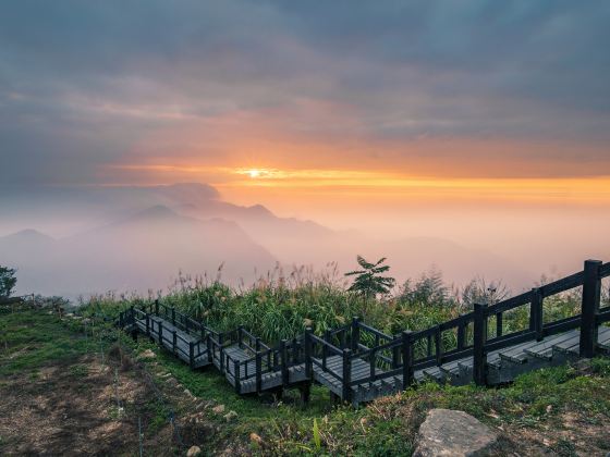 阿里山隙頂雲海