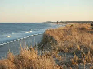 Rehoboth Beach Public Beach