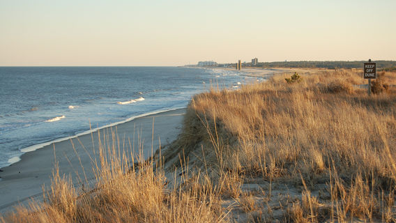Rehoboth Beach Public Beach