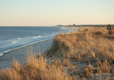 Rehoboth Beach